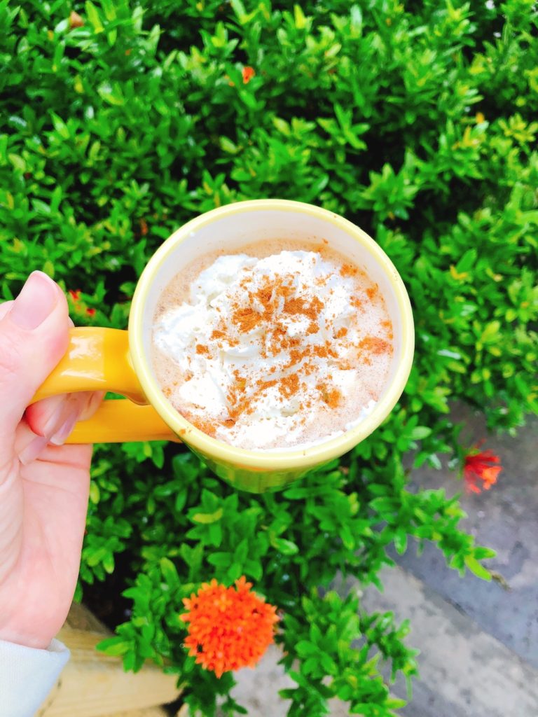 If you're looking for an easy, homemade, healthy version of the Starbucks pumpkin spice latte, look no further! This baby is vegan, dairy-free, lower sugar, and so simple to make at home. This dairy-free pumpkin spice latte recipe even comes in a hot & iced version.