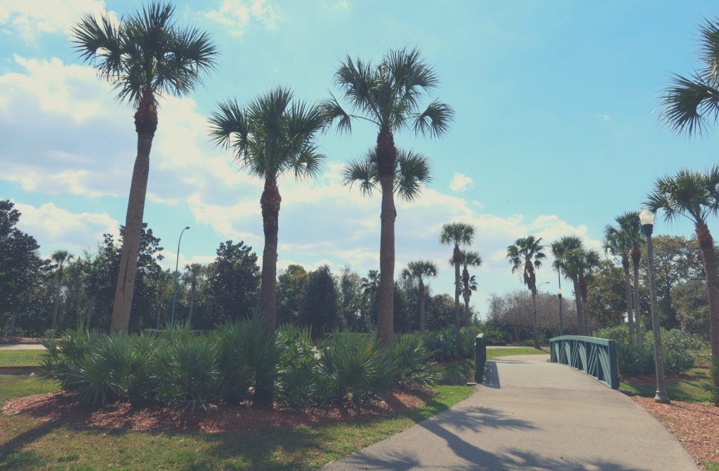 A simple & chill weekly recap blog, filled with beautiful Tampa views, Crumbl sugar cookies, nature walks, and more. | Vitality Vixens Healthy Lifestyle Blog