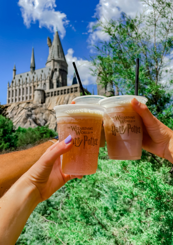Visiting the Wizarding World of Harry Potter! (video)